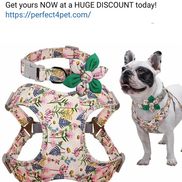 Dog Harness Vest Leash Collar Set - Picture 4 of 4